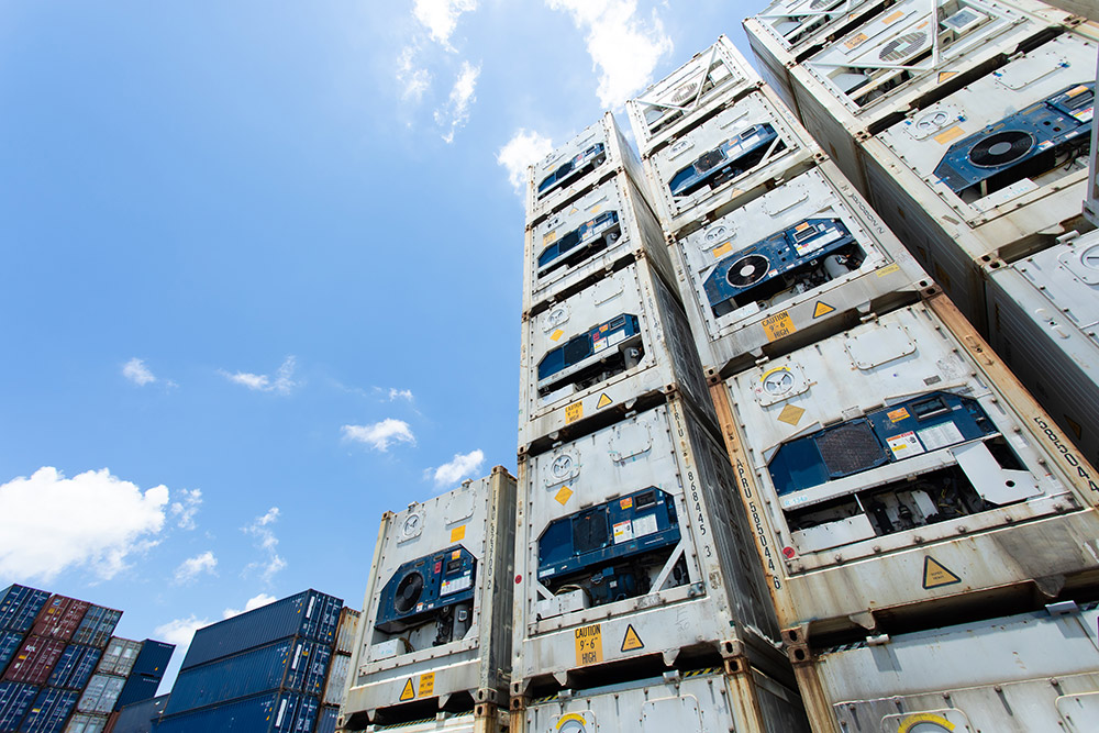 Refrigerated Container Rental